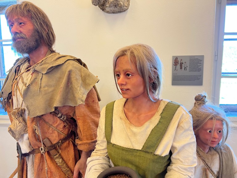 Farmers and stock breeders settled in the Bled area of Slovenia 6,000 years ago. The Bled Castle Museum has mannequin displays of these humans.