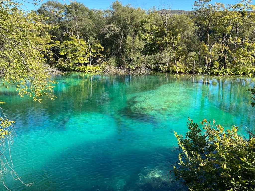The startingly clear blue waters of the 16 lakes that comprise Plitvice Lakes National Park in Croatia are formed by algae gases that react with the water and are tempered by sunlight. The park is nature's petrie dish.