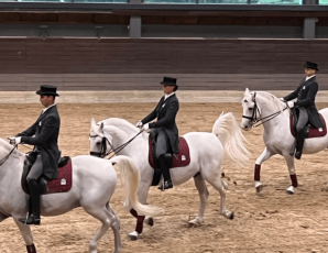 The Lipica Stud Farm in Slovenia. Image by JAG.